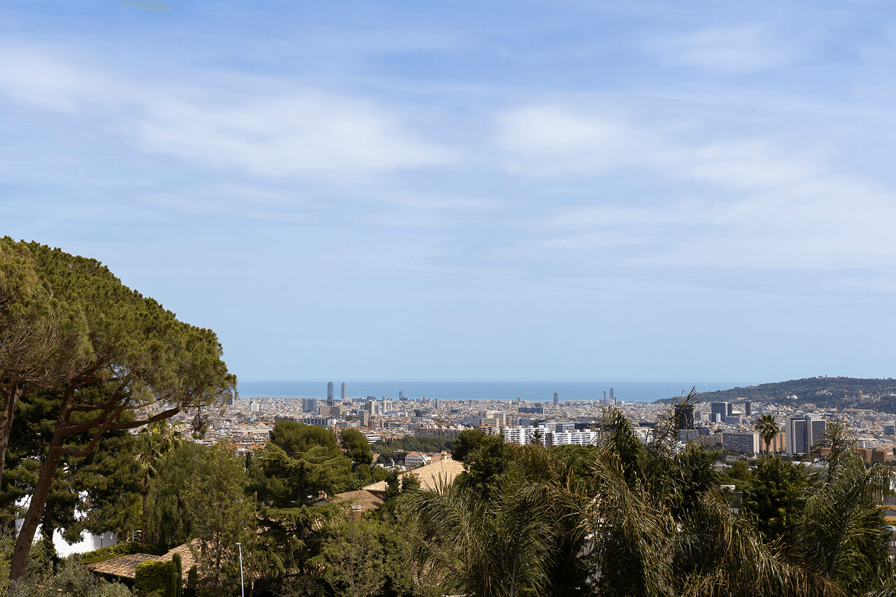 Imagen 16